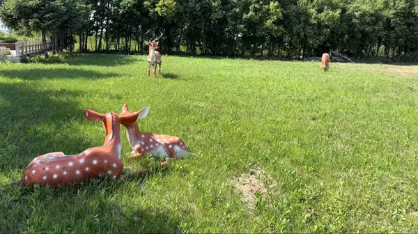 ̨ɽĹ