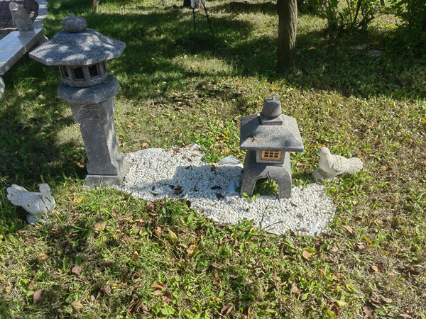 ̨ɽĹ