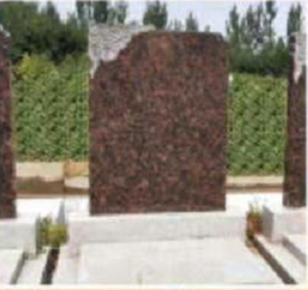 ��»԰����